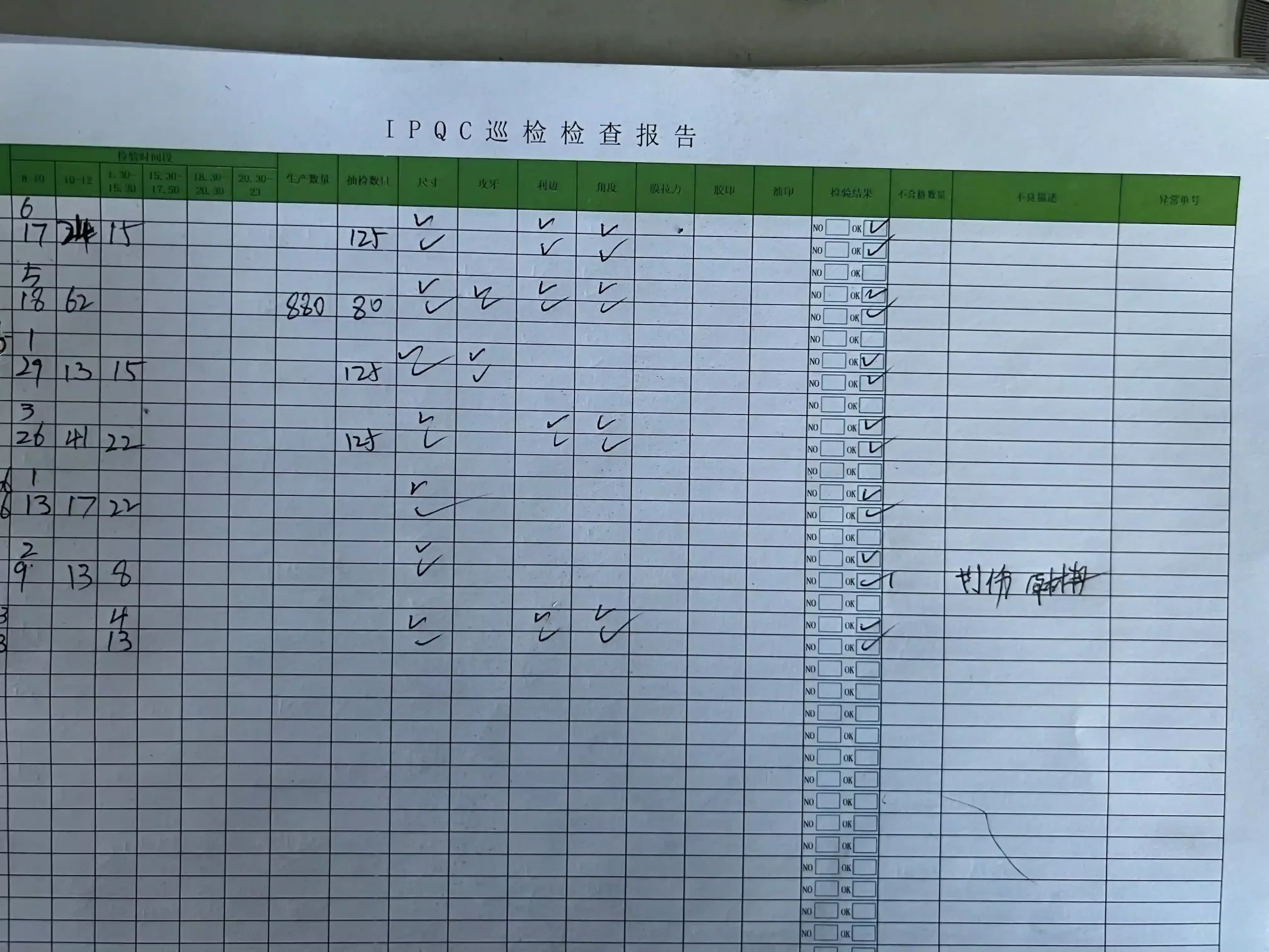 Partial view of inspection report